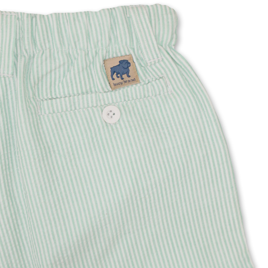 Seersucker Cruiser 5" Short