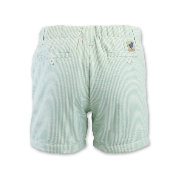 Seersucker Cruiser 5" Short
