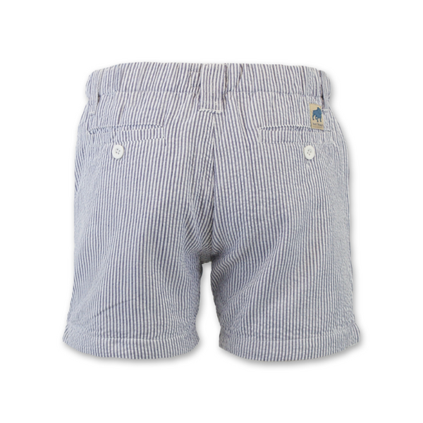 Seersucker Cruiser 5" Short