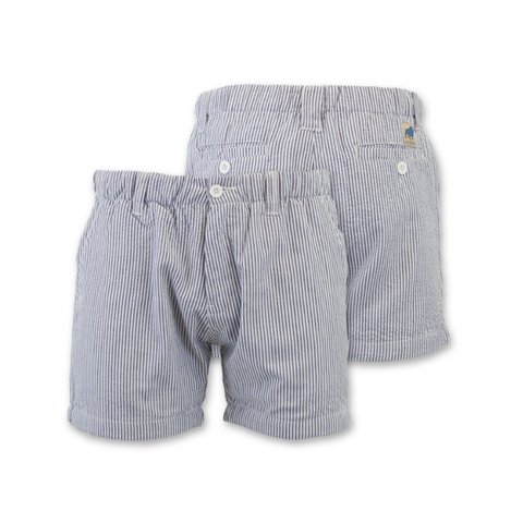 Seersucker Cruiser 5" Short