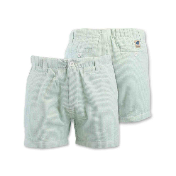 Seersucker Cruiser 5" Short